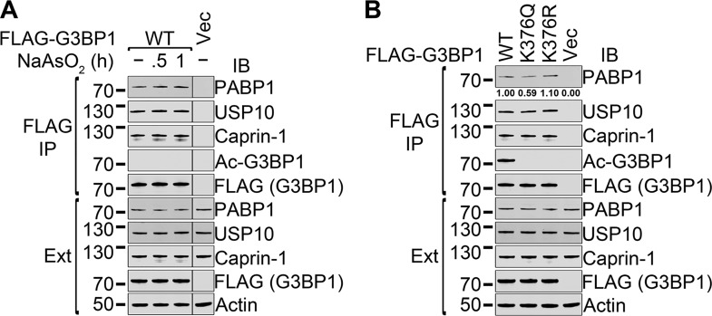 FIG 8