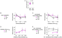 Figure 5—figure supplement 3.