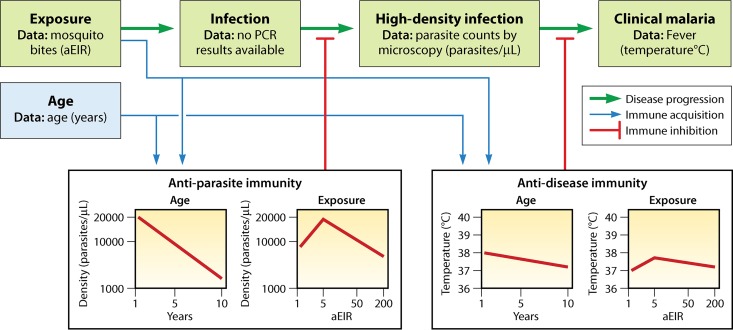 FIG 6