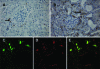 Figure 4-6924