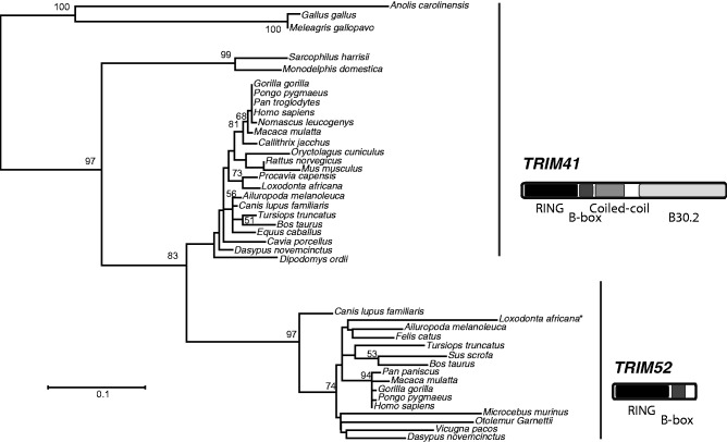 Fig. 3.—