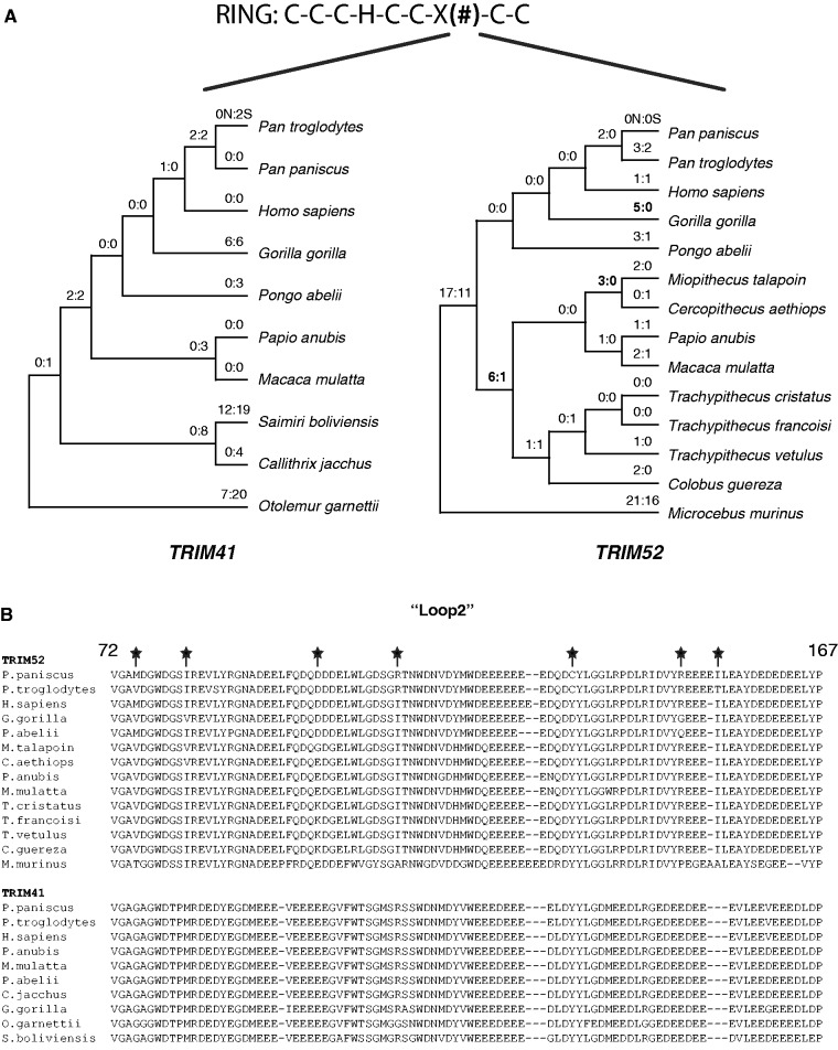 Fig. 4.—