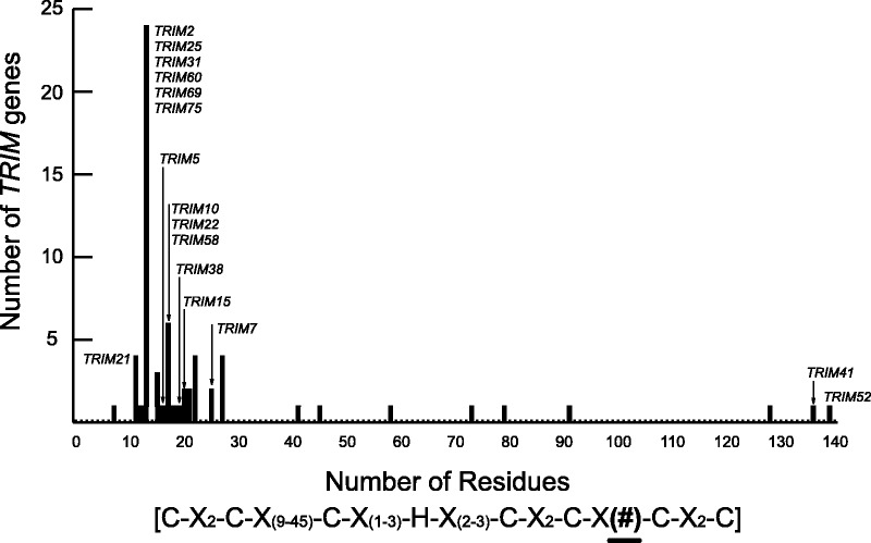 Fig. 2.—