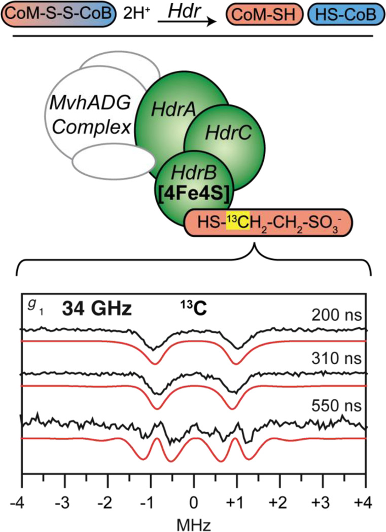 Figure 20