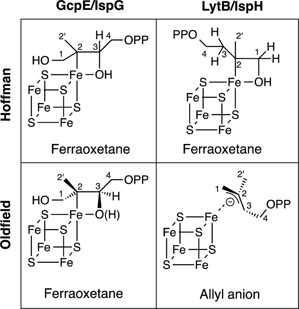 Figure 28