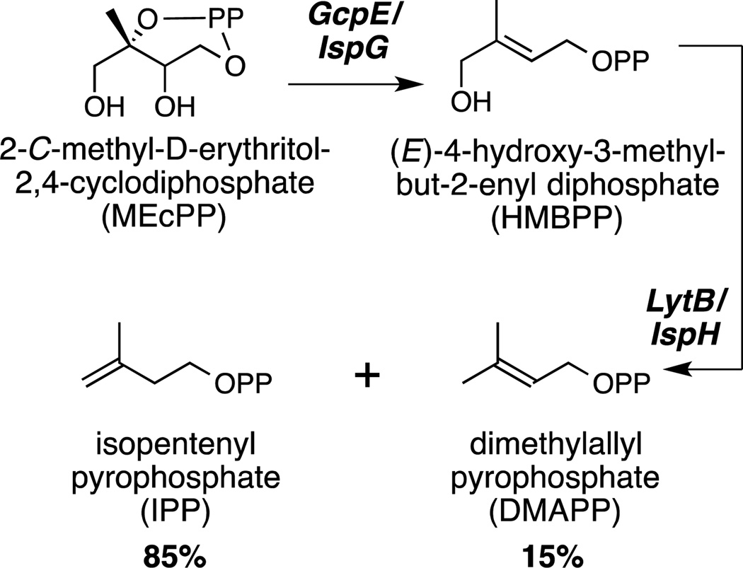 Figure 27