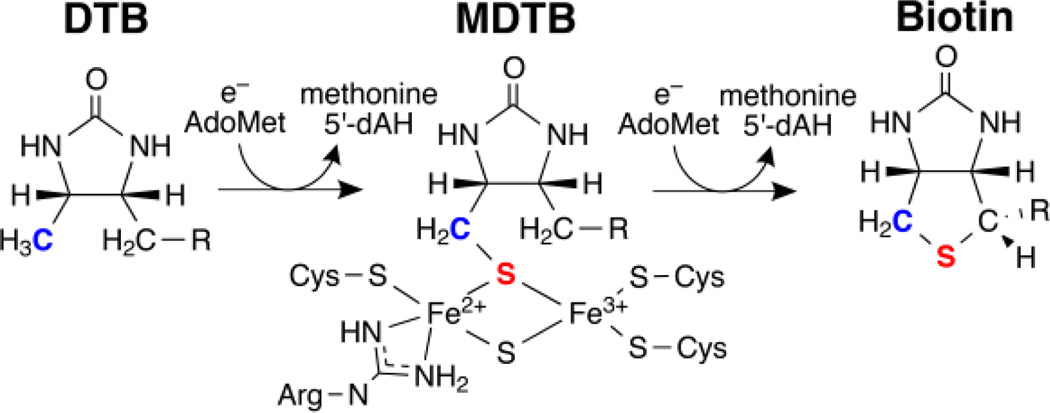 Figure 23