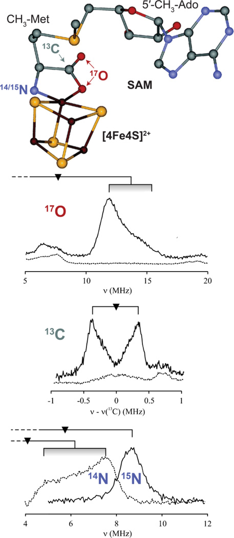 Figure 19