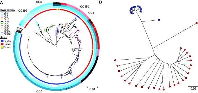 Fig. 2.—