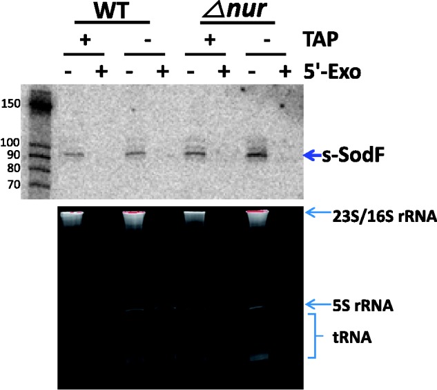 Figure 4.