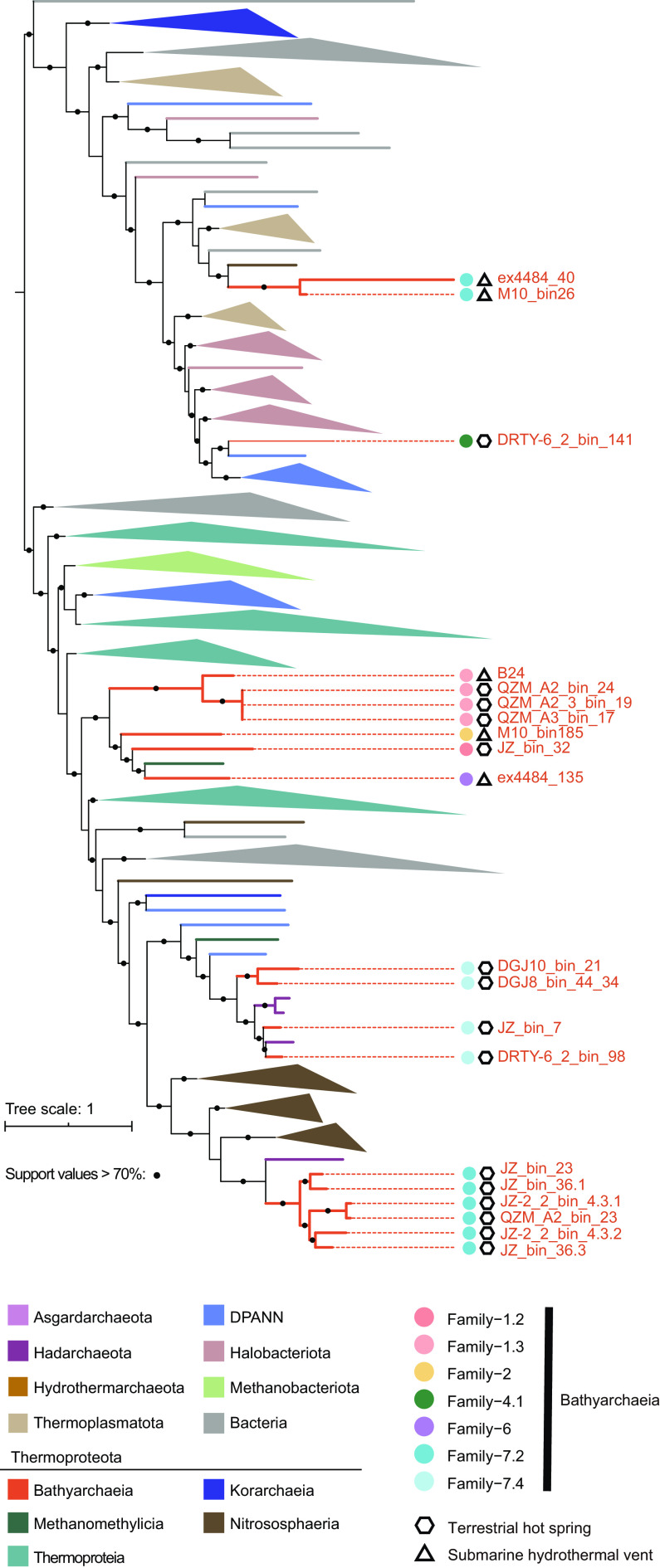 FIG 6