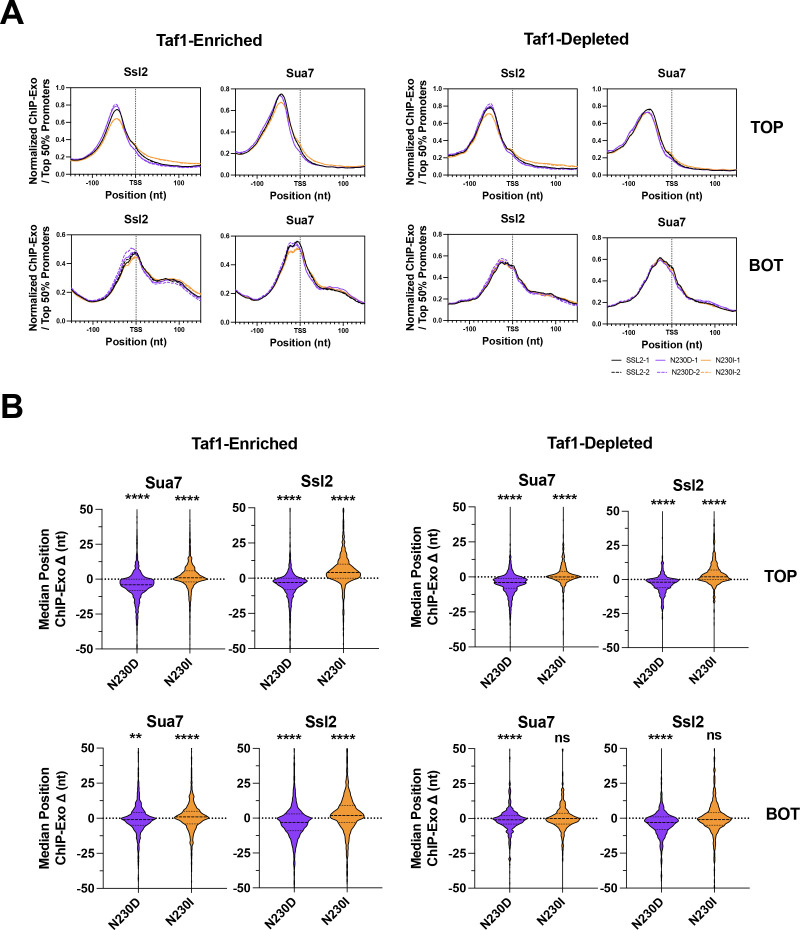 Figure 9—figure supplement 1.