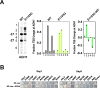 Figure 1—figure supplement 1.