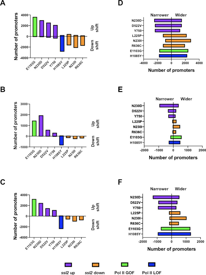 Figure 5—figure supplement 2.