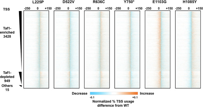 Figure 4—figure supplement 1.