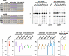 Figure 7—figure supplement 2.