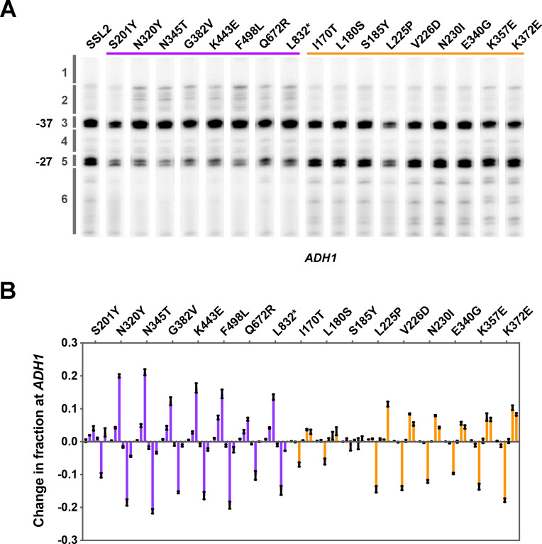 Figure 2—figure supplement 2.