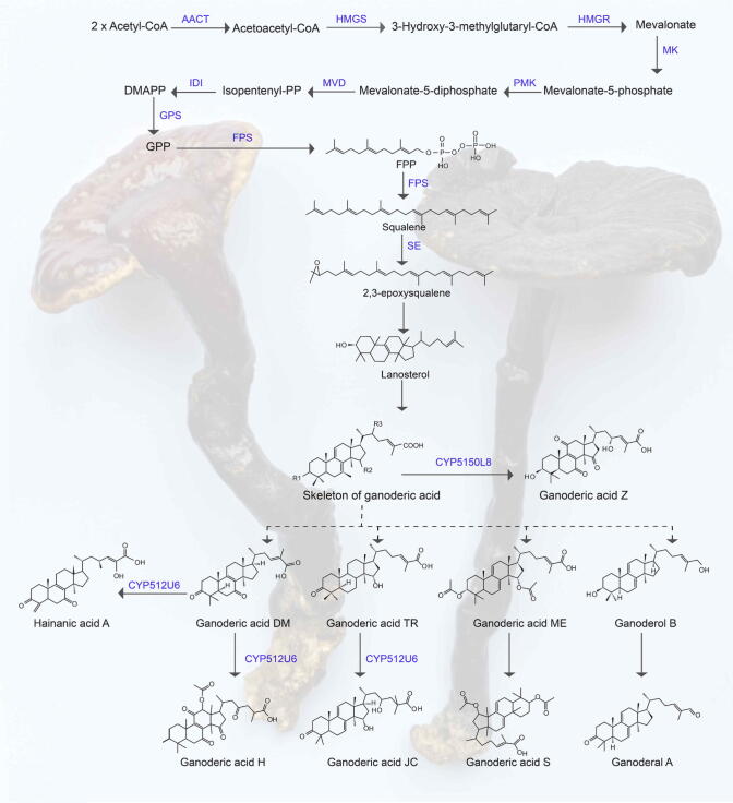 Fig. 2