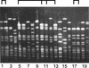 FIG. 2.