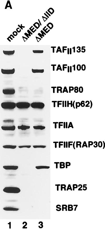 FIG. 5.