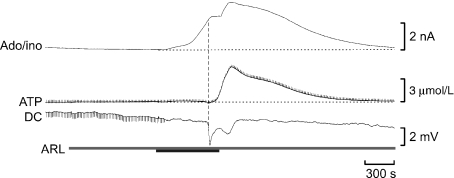 Fig. 8