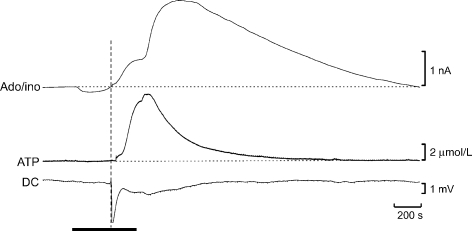 Fig. 6