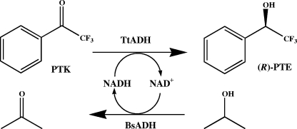 FIG. 5.