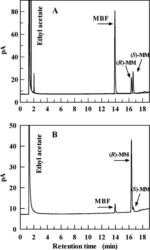 FIG. 7.