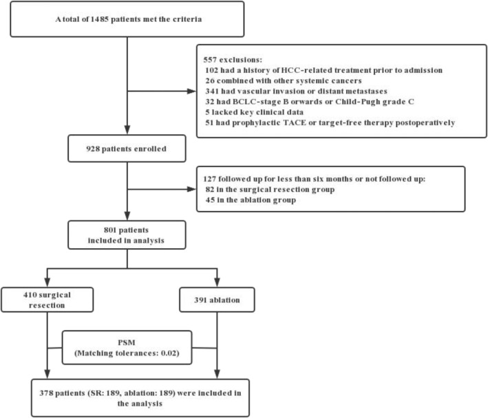 FIGURE 1