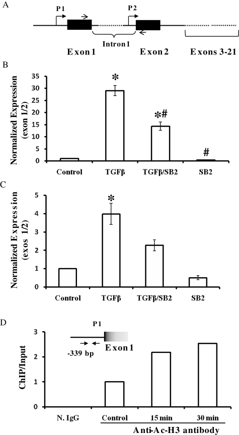 Figure 3