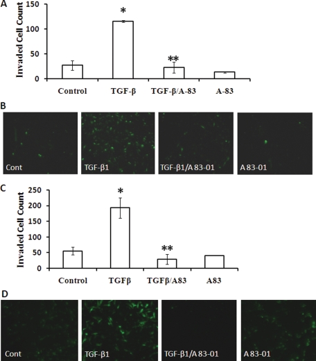 Figure 5