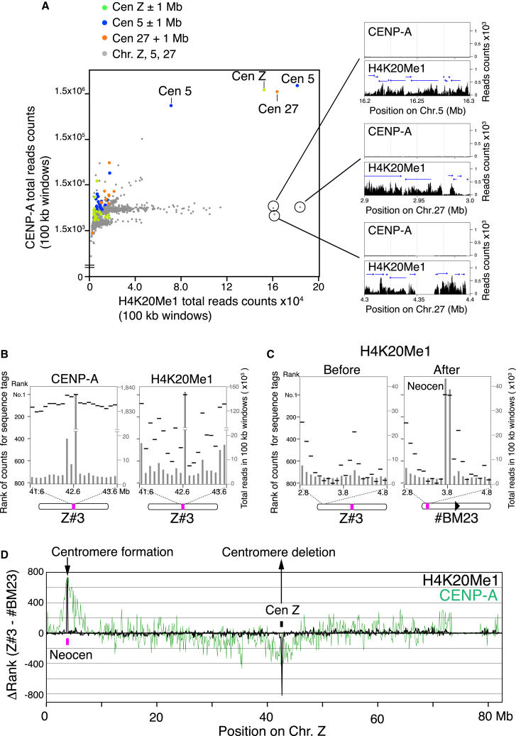 Figure 2