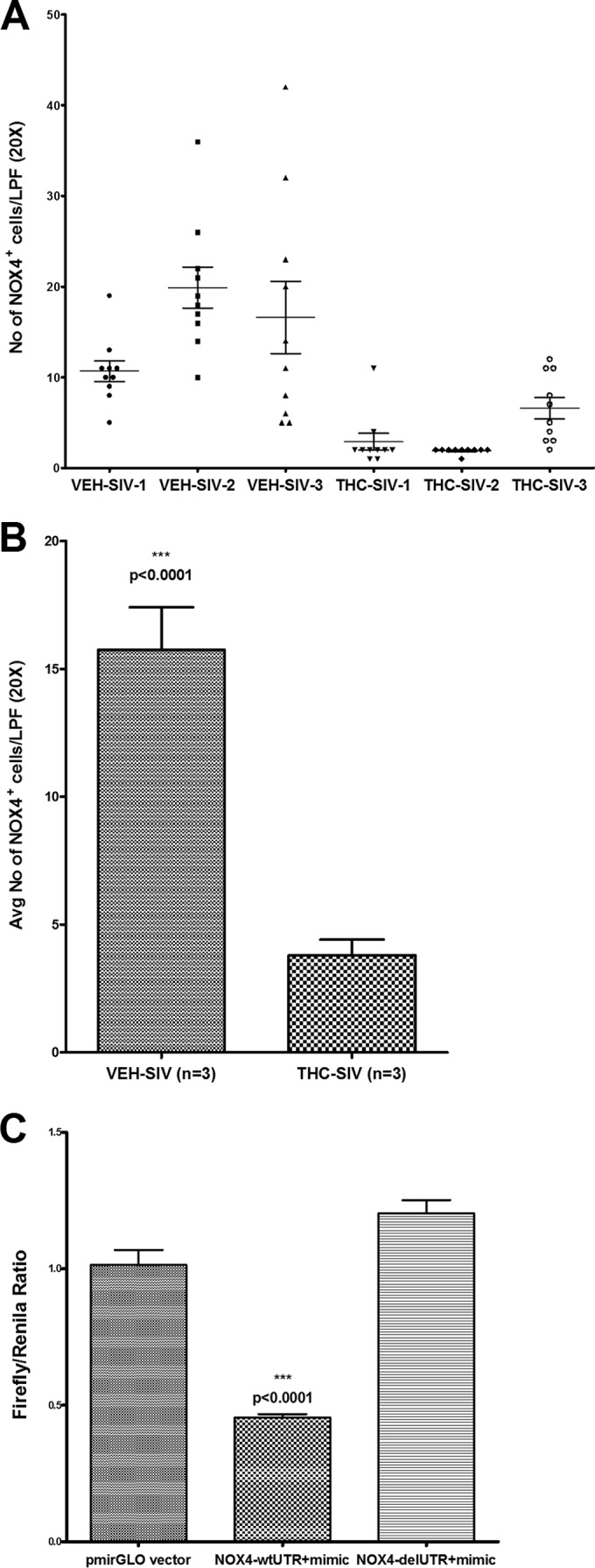 FIG 5