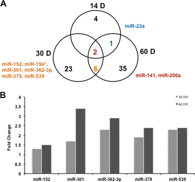 FIG 1