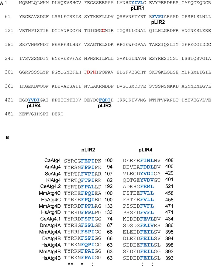 Figure EV3