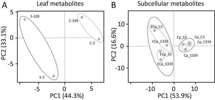 Fig 2.