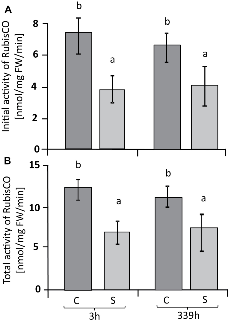 Fig. 8.