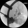 Figure 4