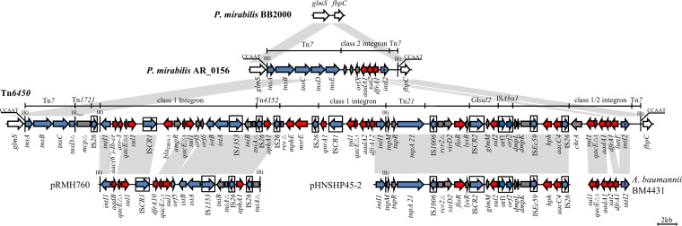 FIG 1