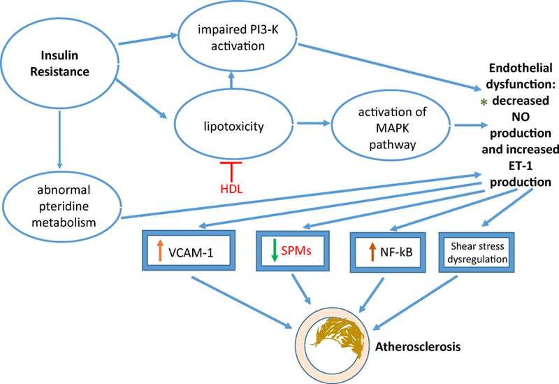 Figure 3: