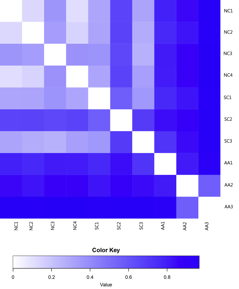 Figure 7