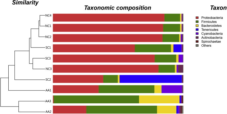 Figure 5