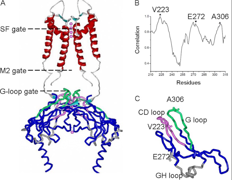 FIGURE 1.