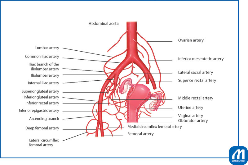 Fig. 9