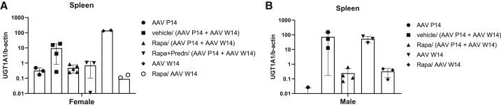 Figure 5