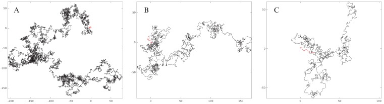 Figure 5—figure supplement 2.