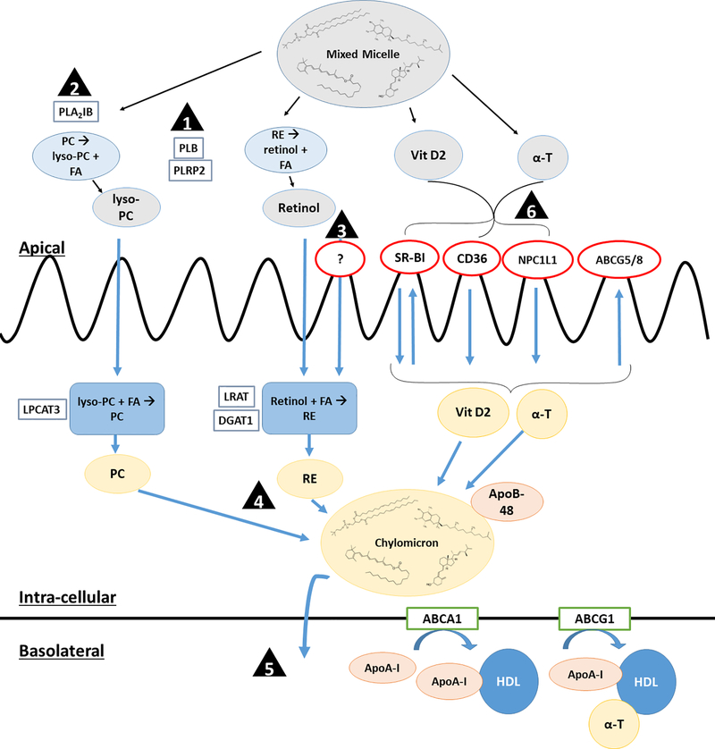 Figure 2.