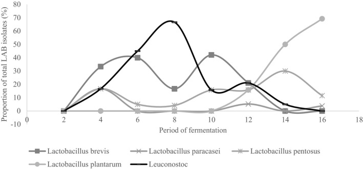 FIGURE 12