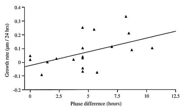 Figure 23