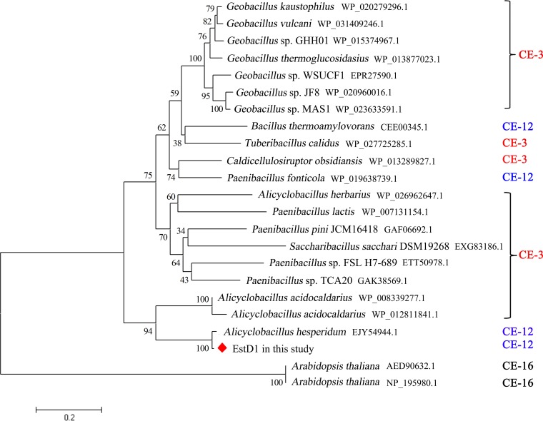 FIG 1